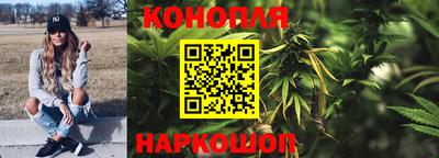 PSILOCYBIN Нальчик