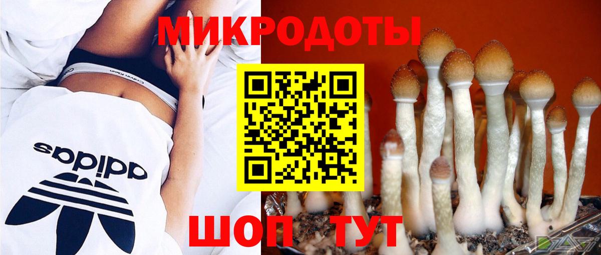Псилоцибиновые грибы Magic Shrooms Ревда
