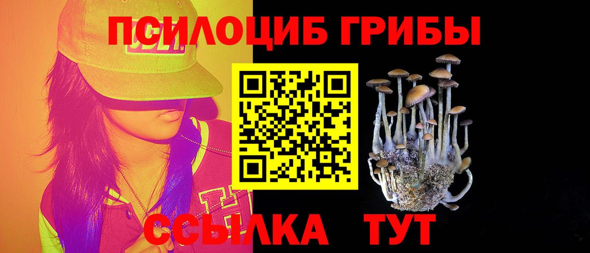 Псилоцибиновые грибы MAGIC MUSHROOMS  Вход с VPN  Ревда  Галлюциногенные грибы Psilocybe 