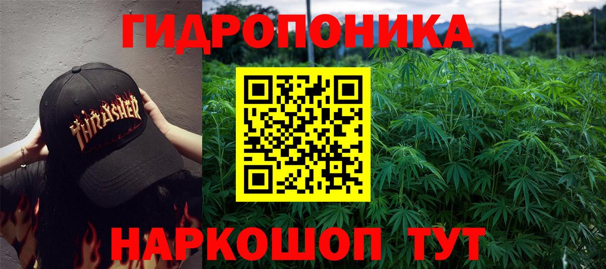 Каннабис OG Kush  Вход с VPN  Ревда  МАРИХУАНА THC 21% 
